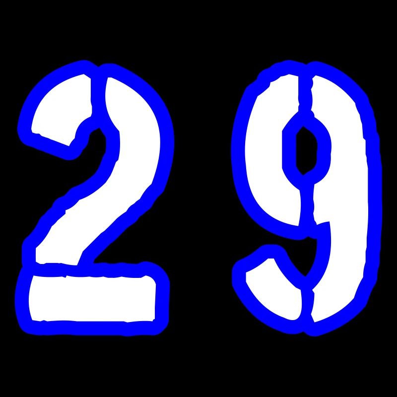 29 Number Symbol