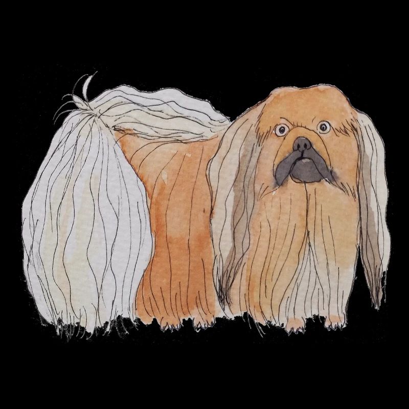 Pekingese - fun