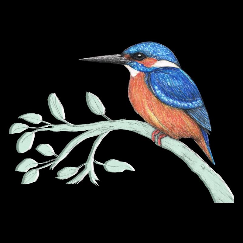 Le martin-pêcheur
