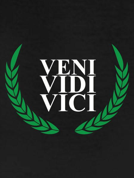 VENI VIDE VICE