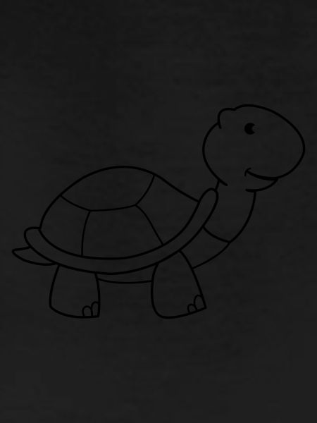 turtle
