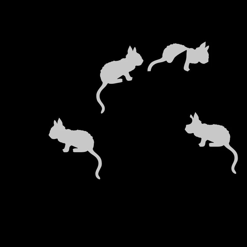 Beaucoup de chatons Mama Cat