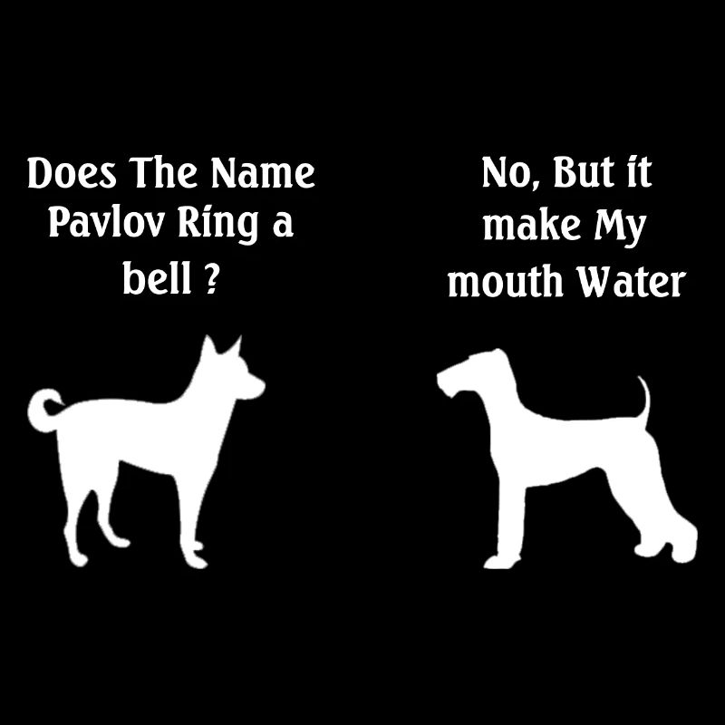 Does The Name Pavlov Ring a Bell Funny Psychology