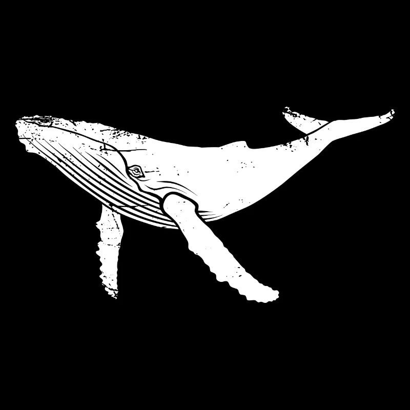 Wal - Buckelwal - Meeressäuger - Geschenk