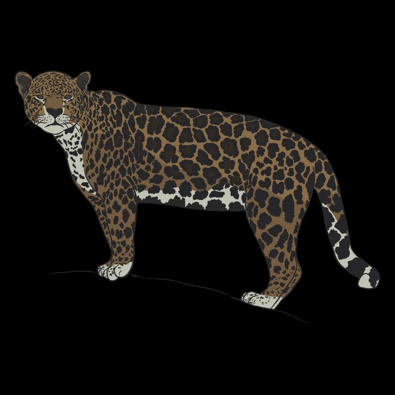 Jaguar-Blick