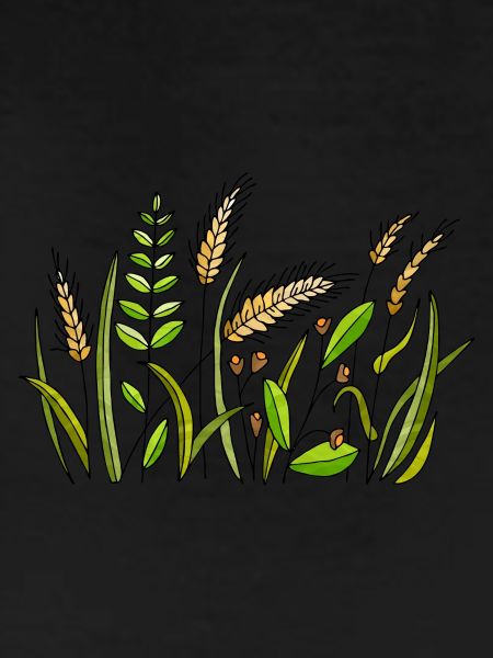 Grass