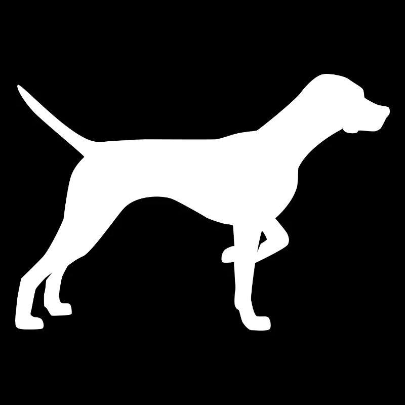 Chien Hund