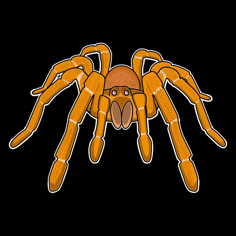 Golia tarantola ragni terraristici