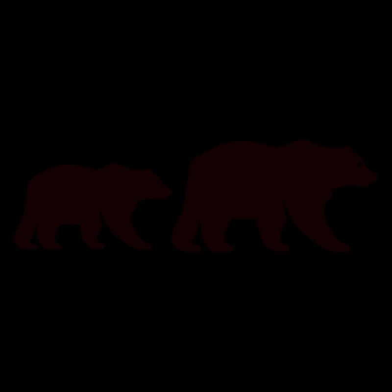 Bear 2
