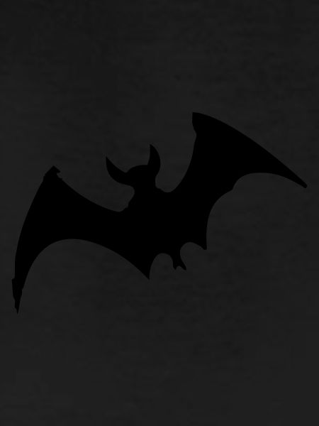 Bat
