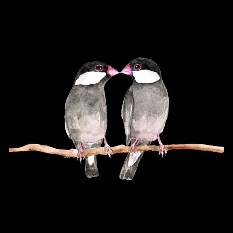 Deux oiseaux de riz embrassants