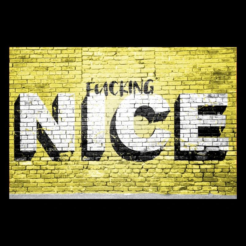 Fucking nice saying lettering Graffiti on Brick