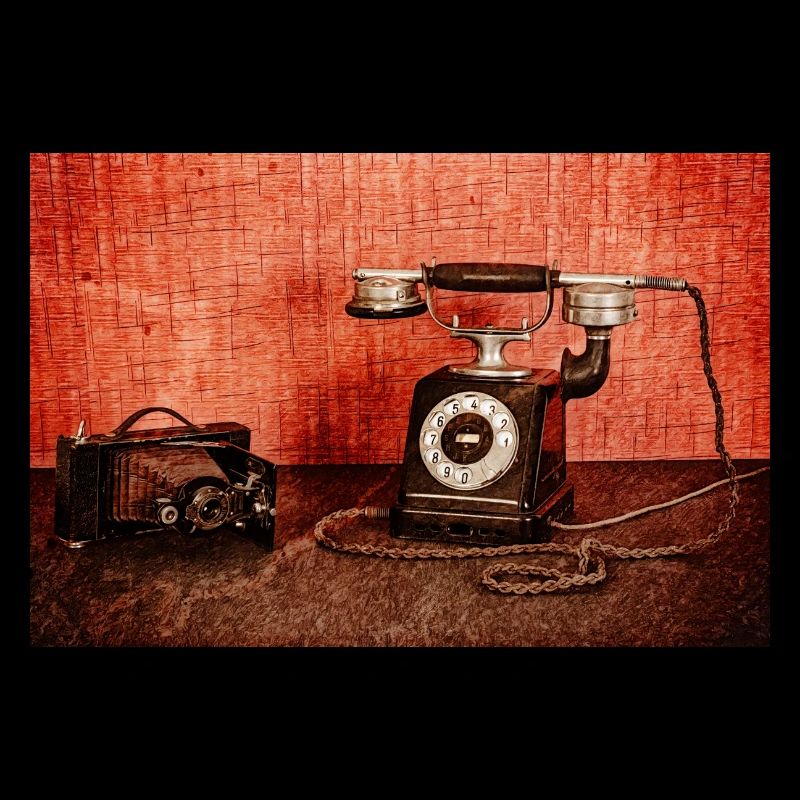 Fork phone with bellows camera