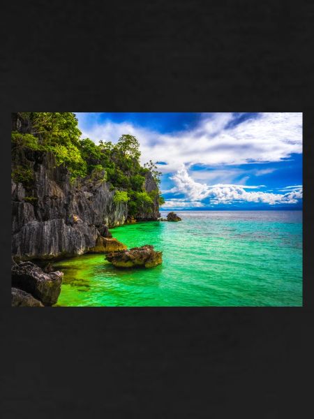 PARADISE COAST