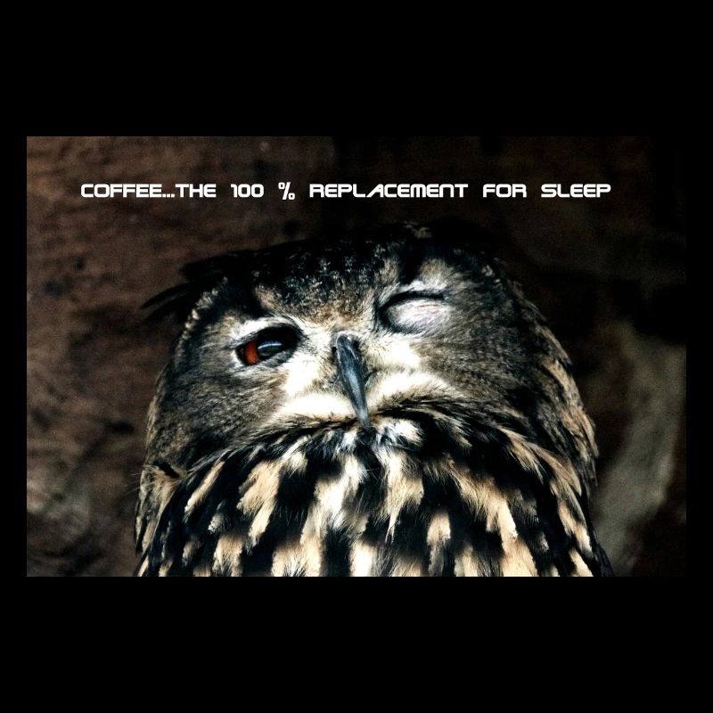 Eule, 100% replacement for coffee