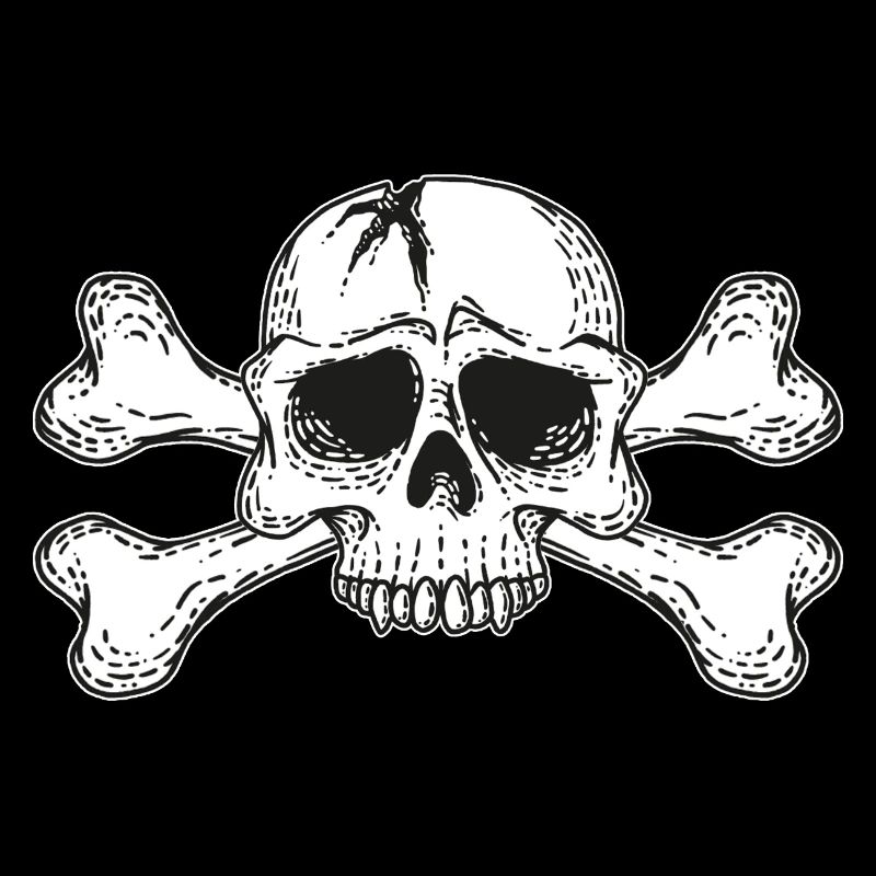 skull with bones