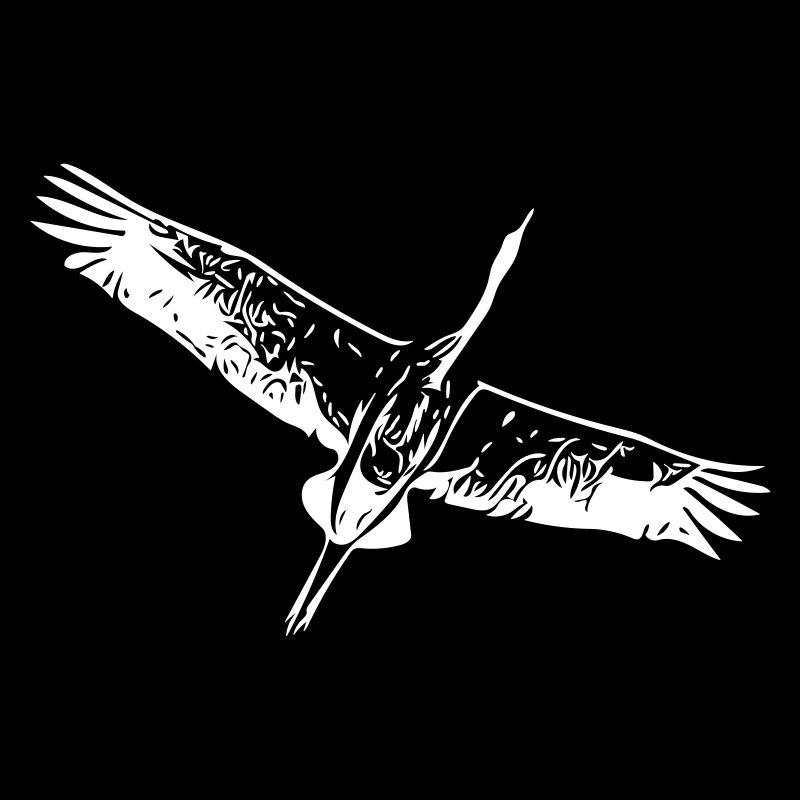 Heron bird in flight