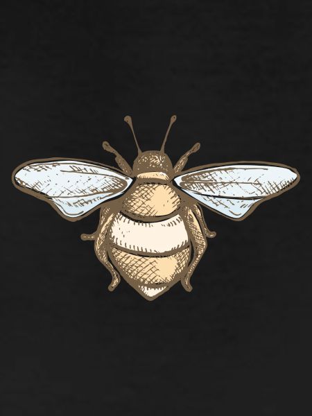 Abeeille