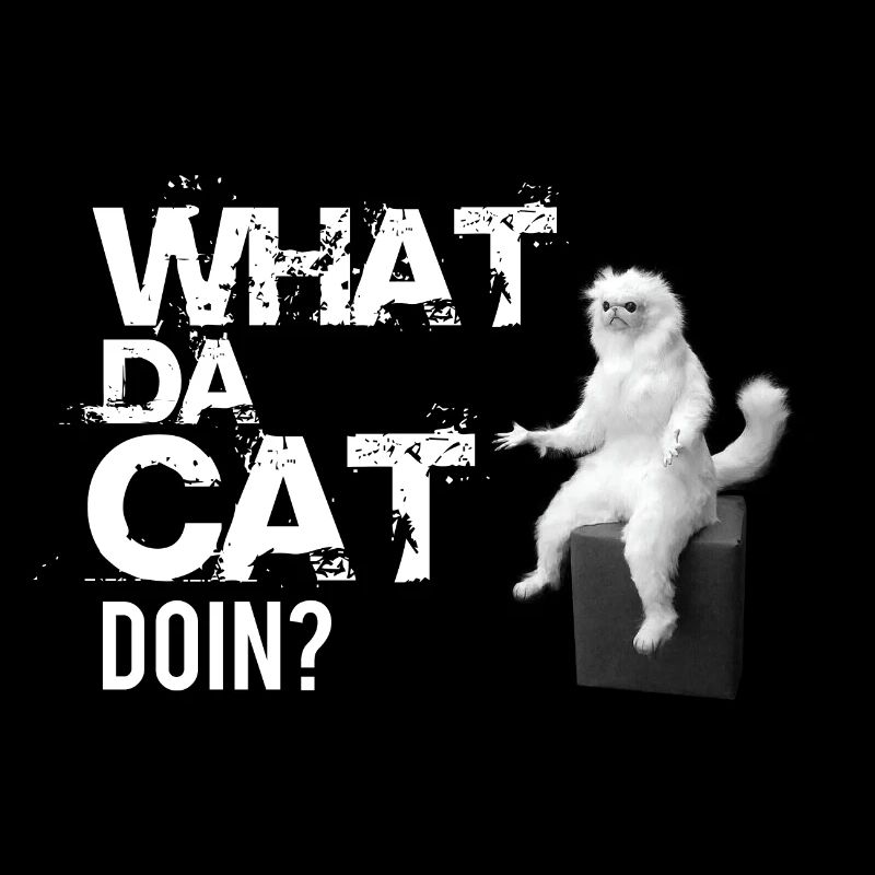What da Cat Doing, design de chat amusant