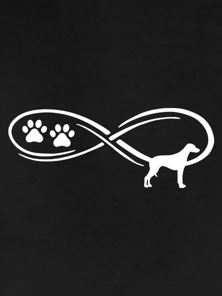 Rhodesian Ridgeback Infinte