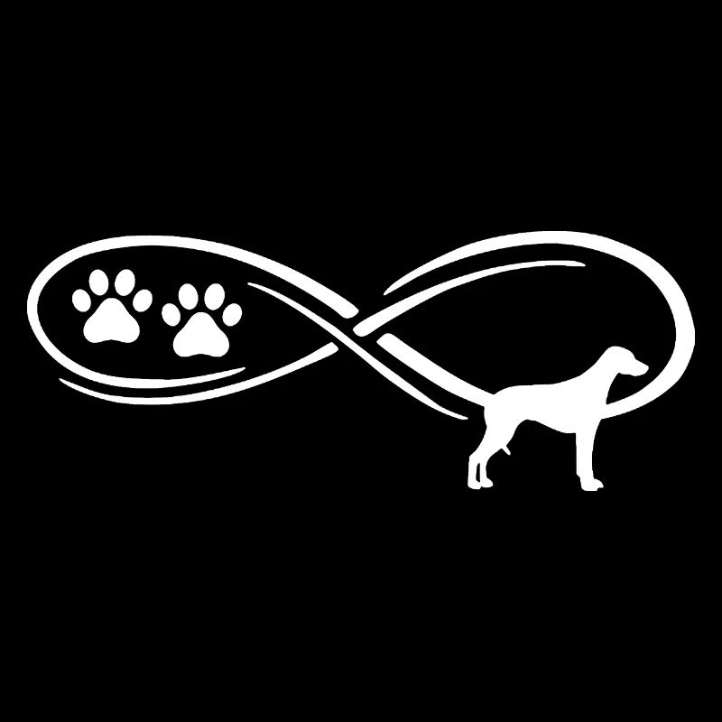 Rhodesian Ridgeback Infinte