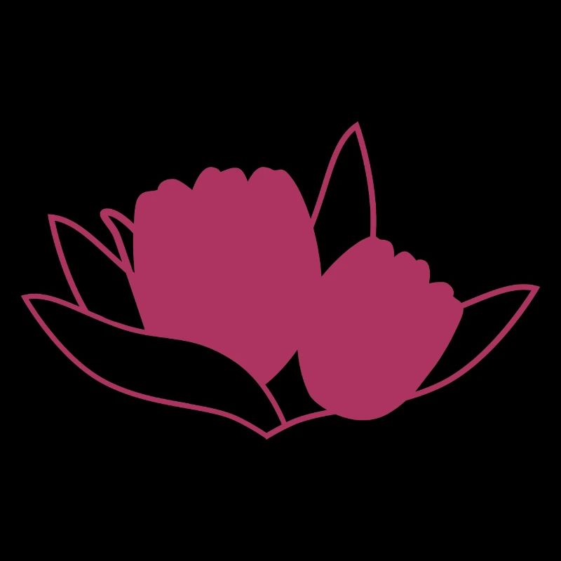 Tulpe Rosa