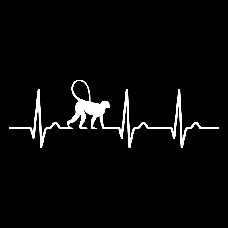 ECG Curve - Heart Curve - Pulse - Monkey - Monkey