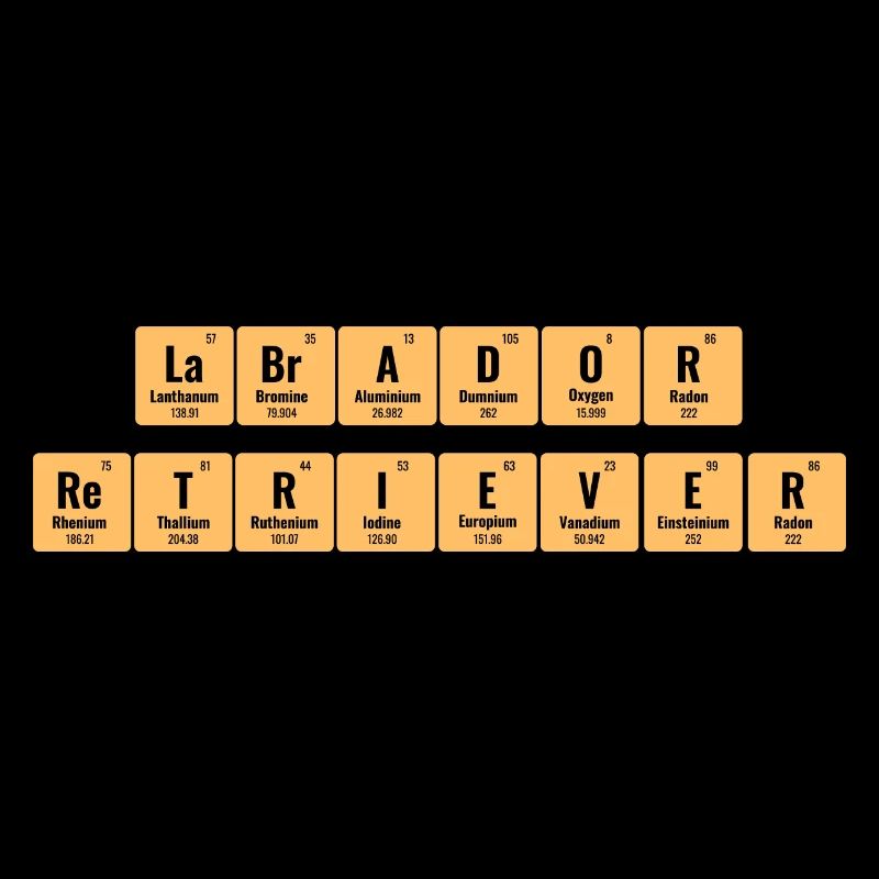 Periodisches System der Elemente Labrador Retriever La