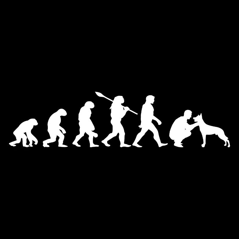 Evolution Funny Belgian Shepherd Dog Malinois