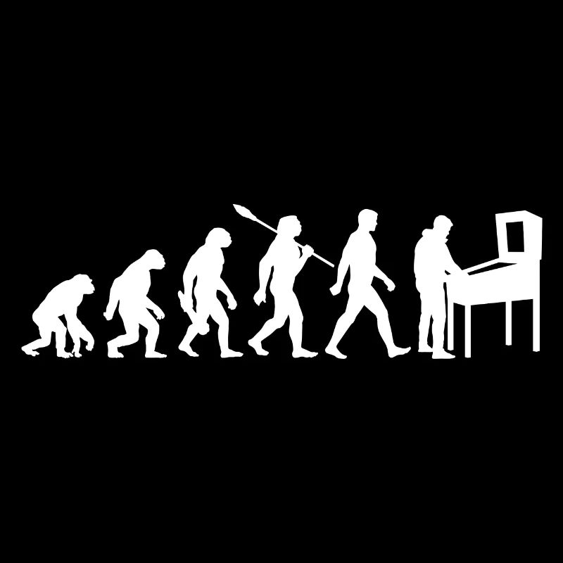 Evolution - Flipper - Flipper - Automatique