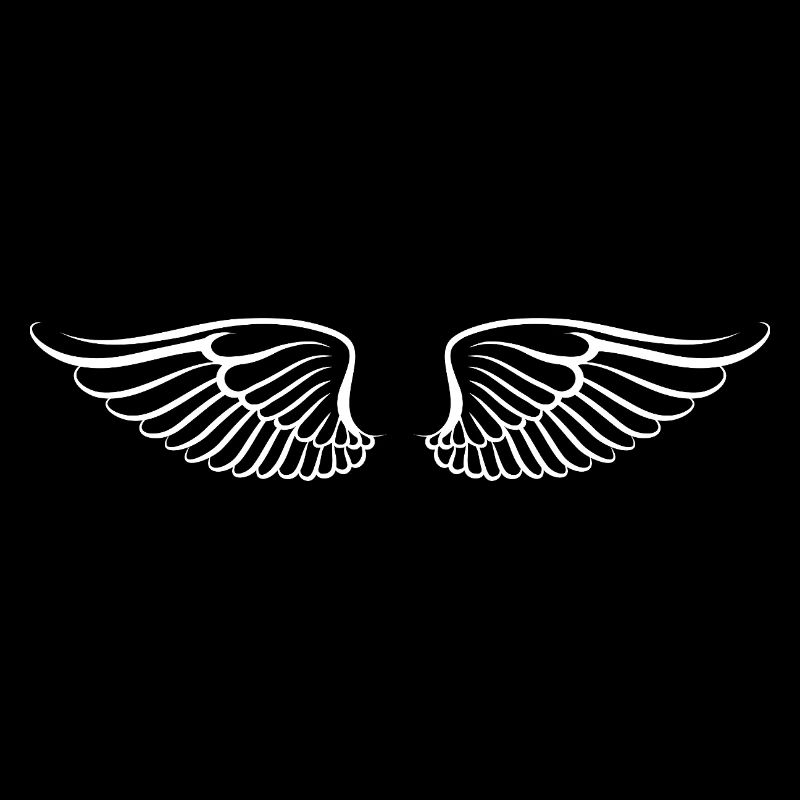 The wings