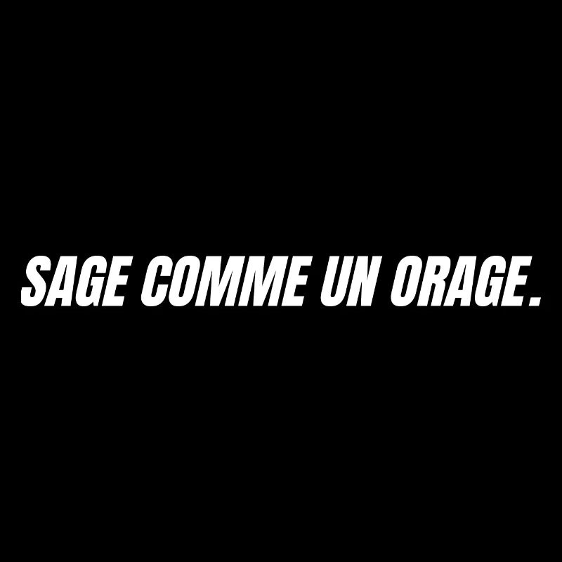 sage comme un orage