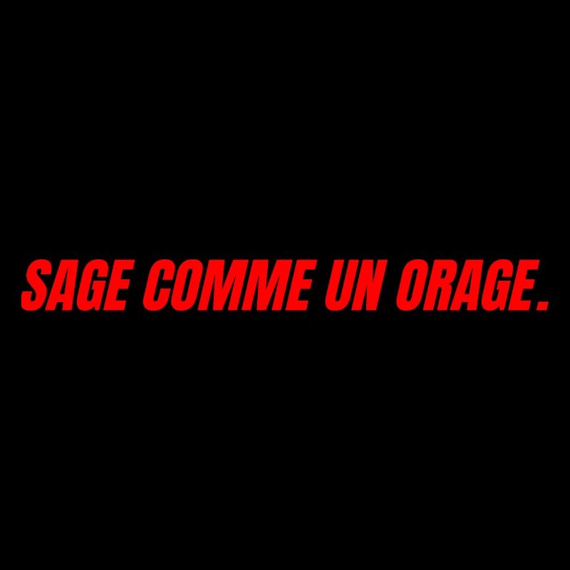 sage comme un orage