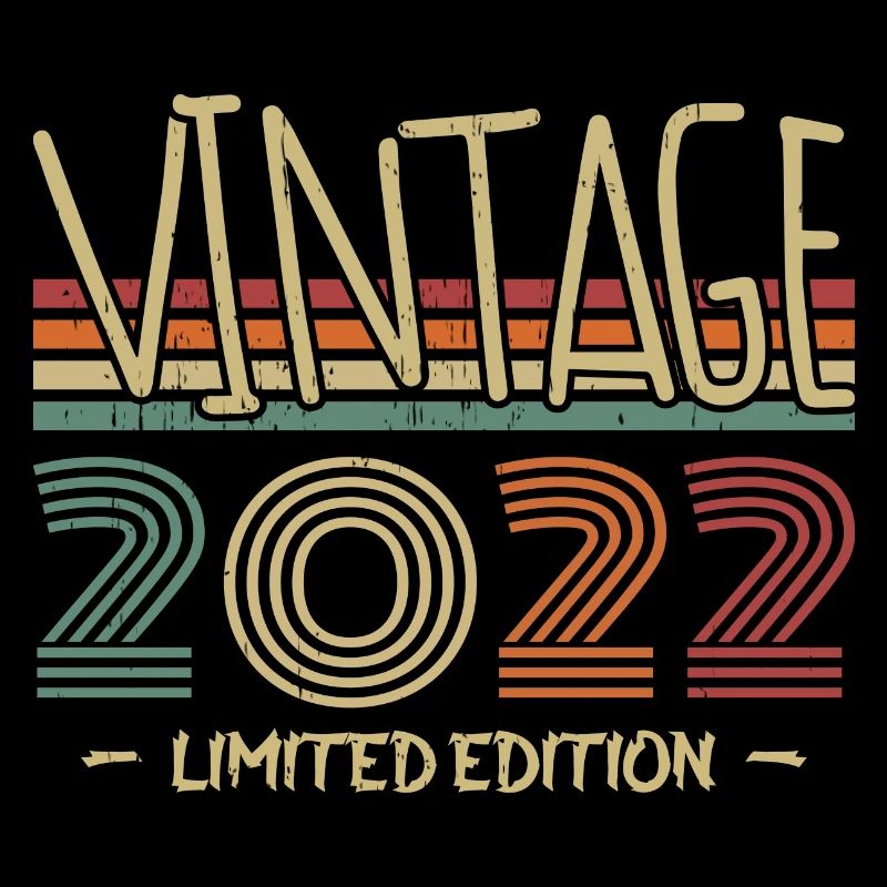 Vintage 2022 Retro 2022 Anniversary Gift