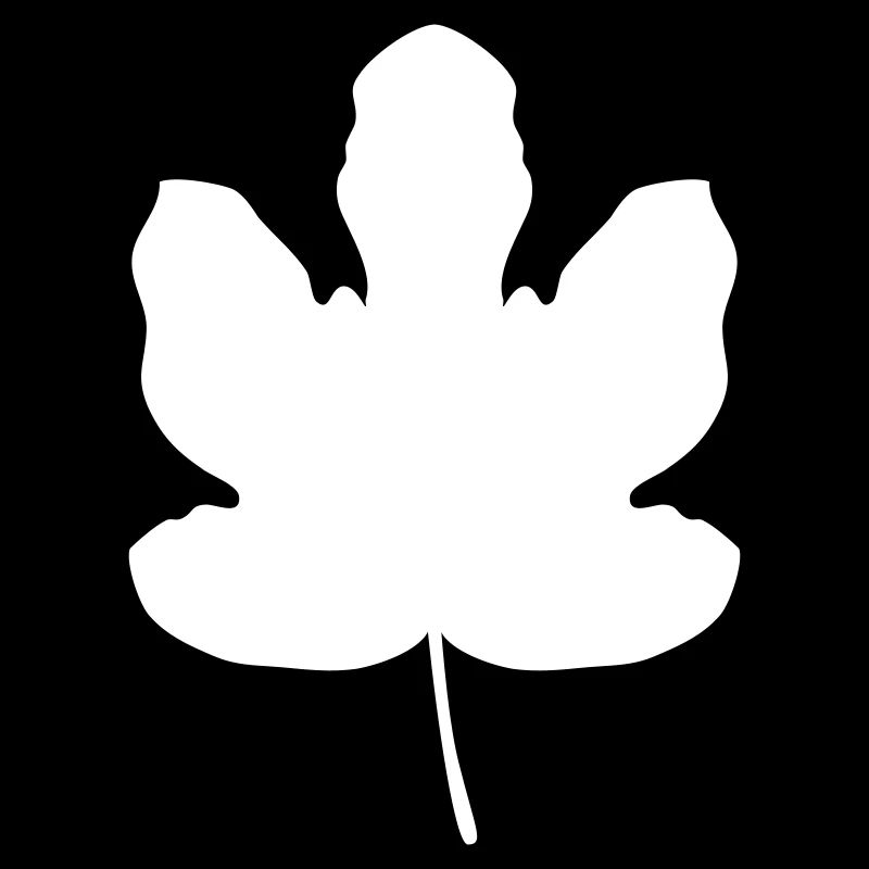 Fig Leaf Adam and Eve Leaf Tree Gift