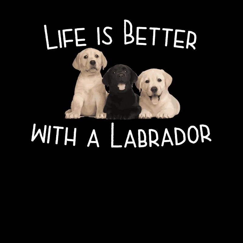 Das Leben eines Labradorhundes ist mit einem Labrador besser