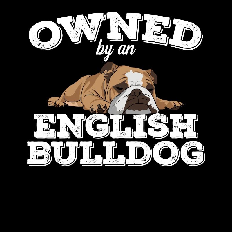 Bouledogue anglais appartenant à un bouledogue anglais