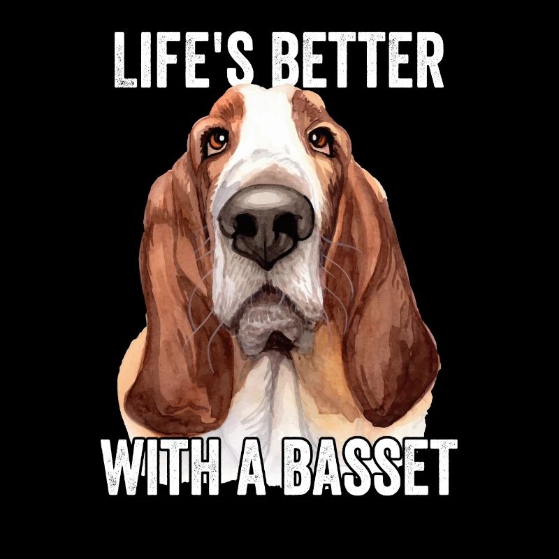 Basset Hound vit mieux avec une basse
