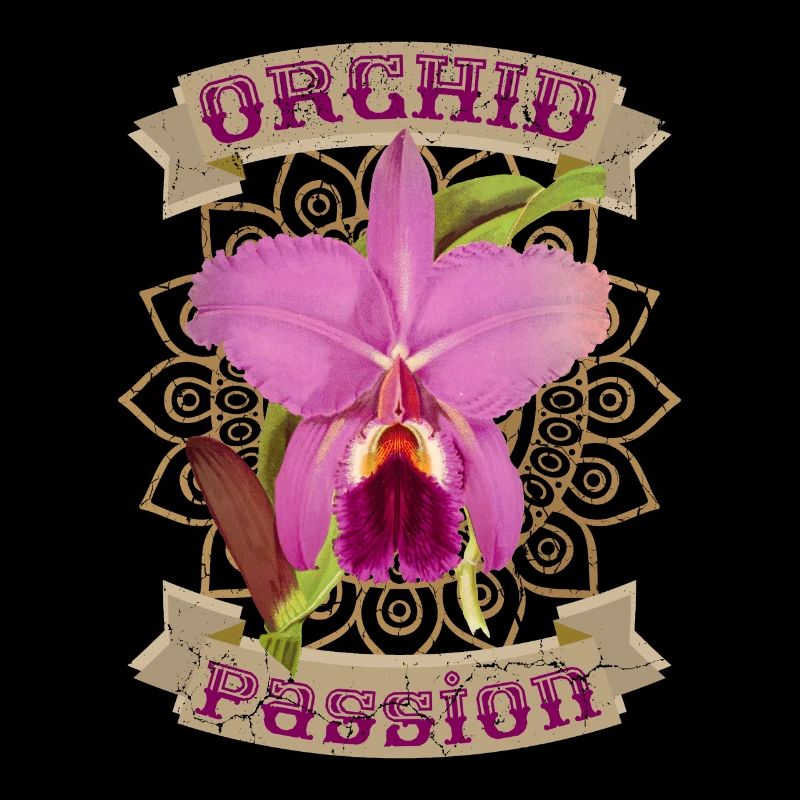 Orchidee, Orchideen, Vintage-Orchidee