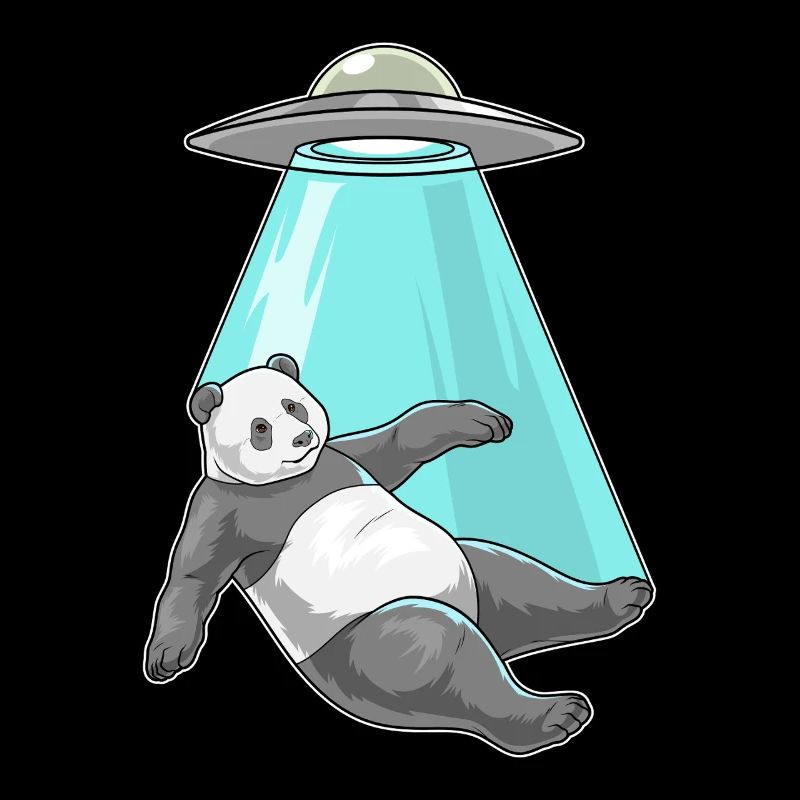 Vaisseau spatial Panda