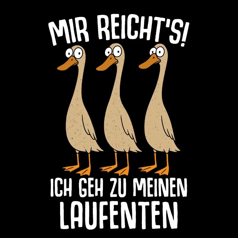 Canards Papa Canard Canards Maman Élevage de canards