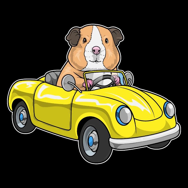 Voiture cochon d’Inde