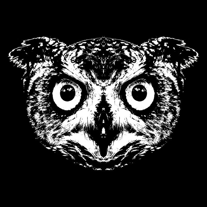 Owl / Eagle Owl / Owl