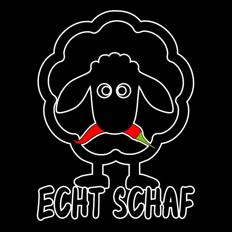 Echt Schaf Norddeutsch Lamm Schäfchen Schäfer