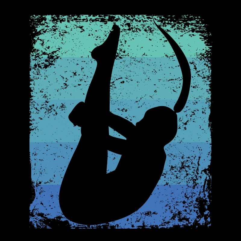 Synchronisierter Wassertaucher High Diver