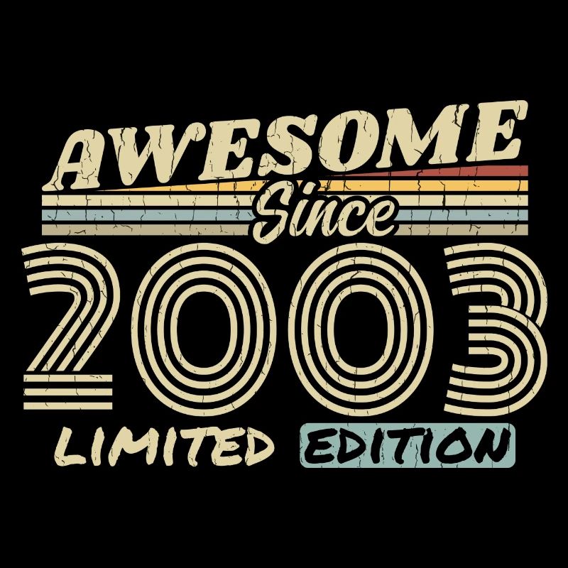 Vintage 2003 Retro - 2003 Geburtstagsgeschenk