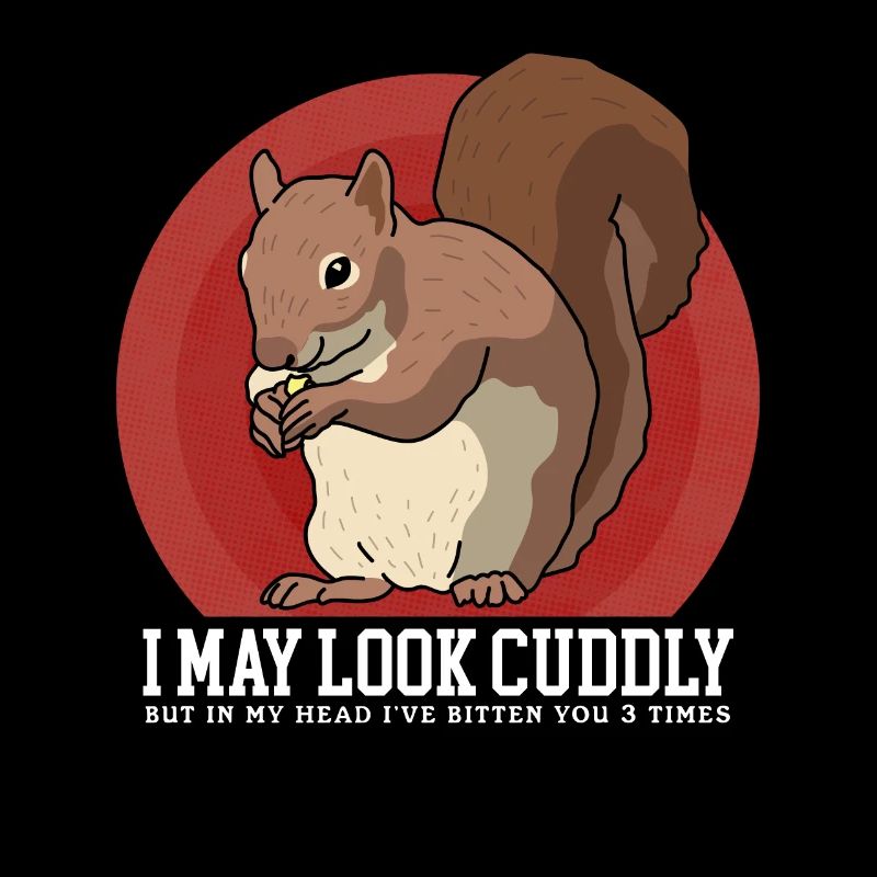 Cute Squirrel Squirrel Gift
