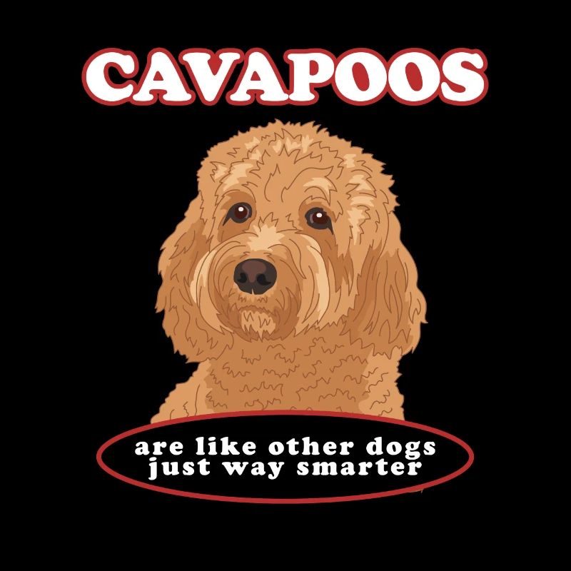 Cavapoo Hund Cavoodle Hundebesitzer Geschenk