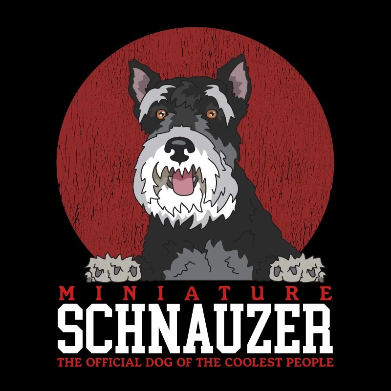 Schnauzer Schnauzer Miniature Chiens Cadeau