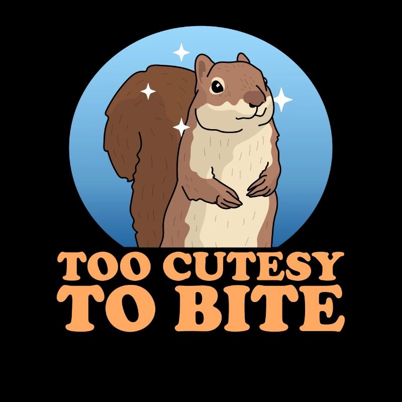 Cute Squirrel Squirrel Gift